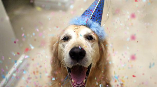 有很多人冒充小飞卖假马膏,飞弟已经都起诉了,请大家一定... 有很多人冒充小飞卖假马膏,飞弟已经都起诉了,请大家一定...