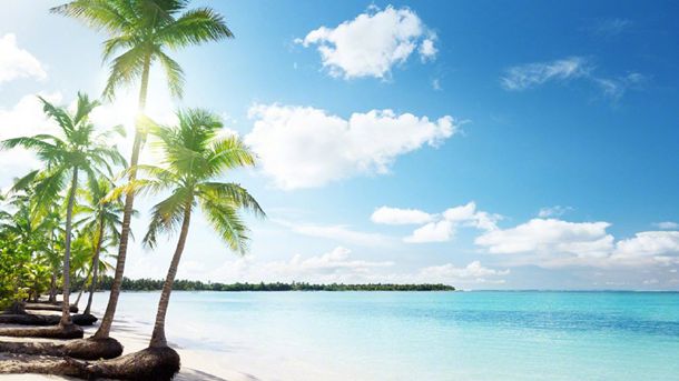 ������ѧ�á�ʯ����12��Ч����ô����ã�