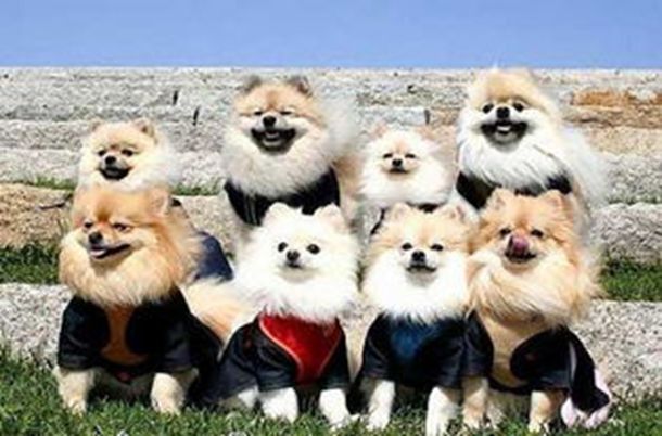 ���ڱ��統���� ���ڱ��統���ޣ�256-260��(1��8)