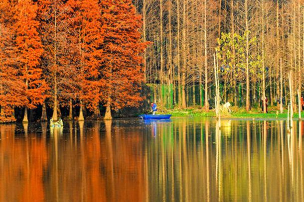 ����Χ 95 ����Χ 76 Ӧ�ô���������£����� 75E��34E ������ Bra.iCoA.cn