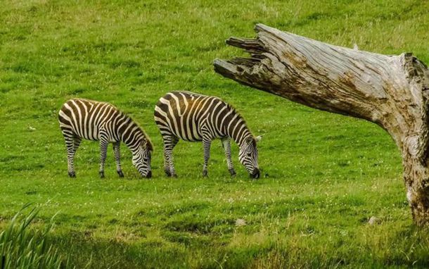 《艳妇乳肉豪妇荡乳后续黄蓉》大陆剧超清完整版在线观看 《艳妇乳肉豪妇荡乳后续黄蓉》大陆剧超清完整版在线观看