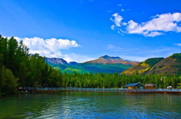 ӭ�����ᡢ����ģ������Ҷ�����������Ч��������˰��