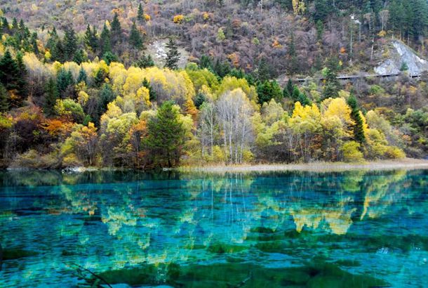 号称全球交配能力最强,连续战斗70天不休息,海狗为何这么厉害? 号称全球交配能力最强,连续战斗70天不休息,海狗为何这么厉害?