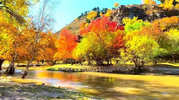 �ӱ���ץס��ǰ����ֻ����������½�