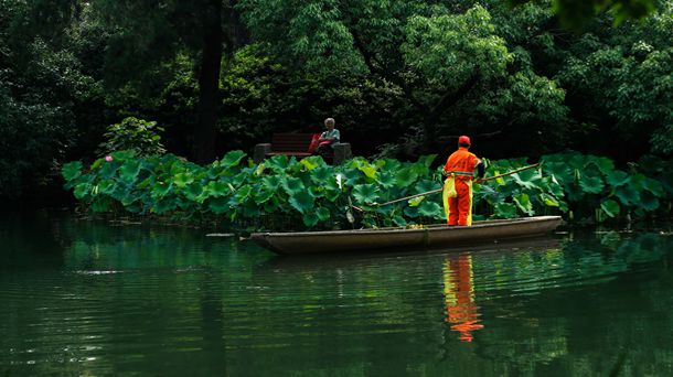 名人故事:爱心大使丛飞 (700字) 名人故事:爱心大使丛飞 (700字)