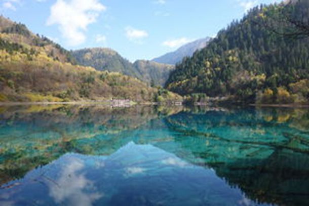 ��ƤӰϷ�Ľ�ʲô