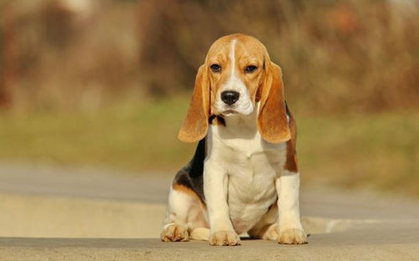 Ůͬ������������İ���˾��ӻ��еļ�������