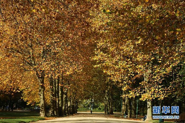 ��������û��þͻ����ˣ���Ѫ���յ���ֻ������ĸ�����