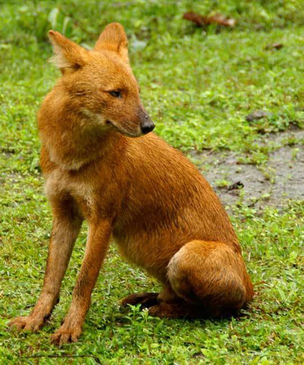 �����Ϻ��ķ�����