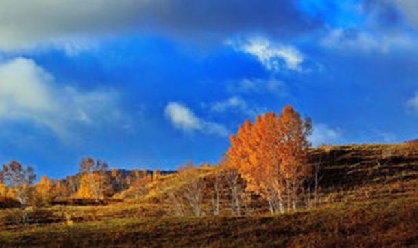 ���泪����ί����