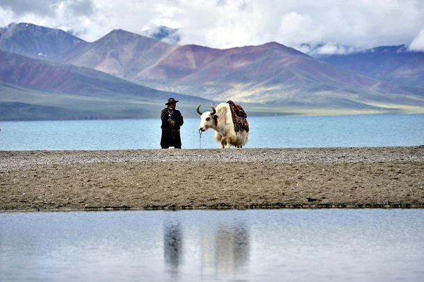 盆底肌肉康复器是什么?怎么使用阴.道哑铃 盆底肌肉康复器是什么?怎么使用阴.道哑铃