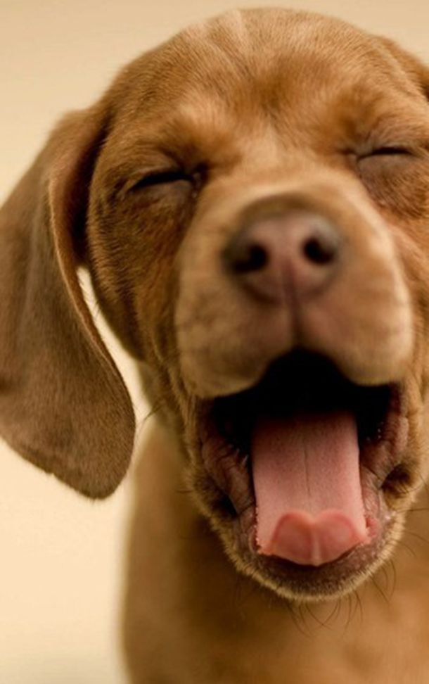 3���߶���������С˵#�������