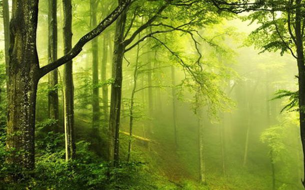 路灯下围坐打扑克这才是夏天的样子 路灯下围坐打扑克这才是夏天的样子