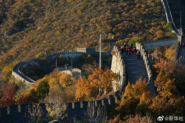 ����������Ա��